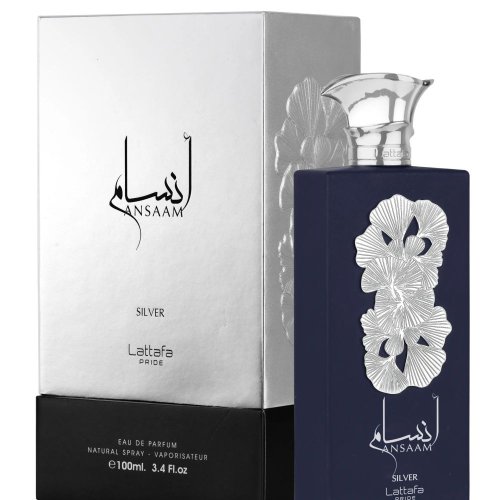 ANSAAM SILVER